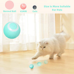 Smart Cat Ball Toys - Uluu Rush