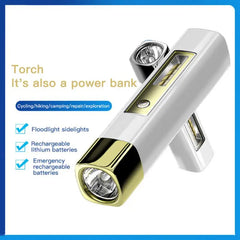 Portable Remote Flashlight and Power Bank