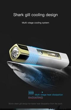 Portable Remote Flashlight and Power Bank