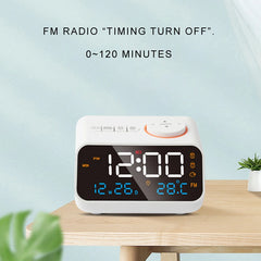 Modern FM Radio LED Alarm Clock for Bedside Wake Up